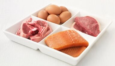 basic principles of nutrition with a protein diet